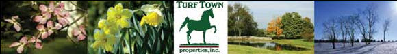 Turftown Header